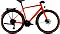 Road- & Fitnessbikes