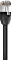 Network Cable
