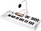 Keyboards & Synthesizer