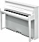 Acoustic Pianos