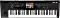 Keyboards & Synthesizer