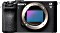 System Cameras
