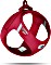 Dog Harnesses & Collars