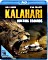 Blu-ray Movies