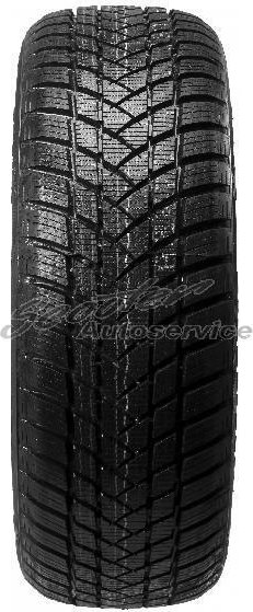 GT-Radial Winterpro 2 185/55 R15 82T