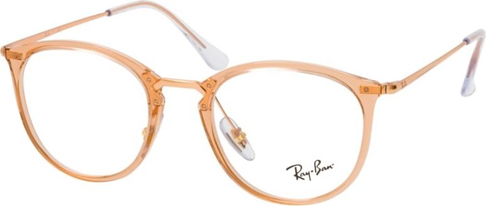 Ray-Ban RB3395