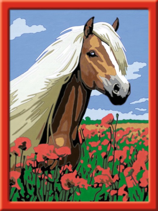 Ravensburger Painting By Numbers Haflinger (28652)