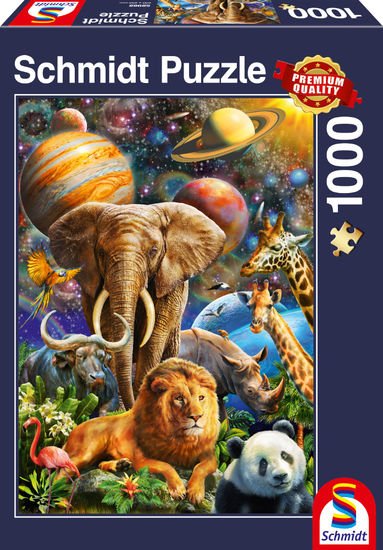 Schmidt Spiele Wundervolles Universum (58988)