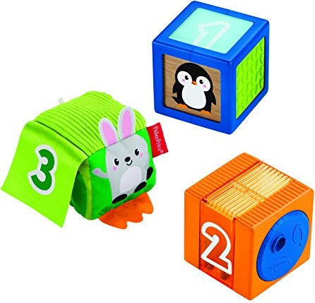 Mattel Fisher-Price Stack & Discover Sensory Blocks (GJW13)