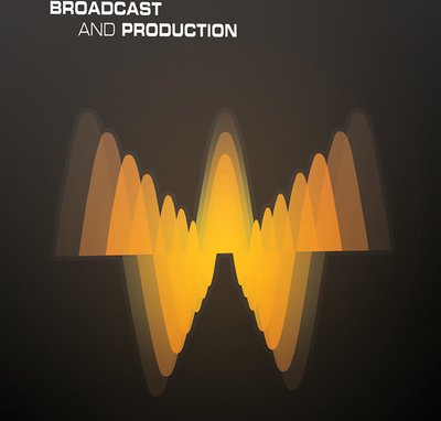 Waves Broadcast & Production Bundle, ESD (English) (PC/MAC)