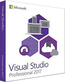 Microsoft Visual Studio 2017 Professional, ESD (multilingual) (PC)