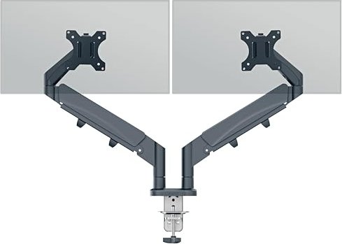 Leitz Ergo Platzsparender Dual Monitor Arm (65370089)