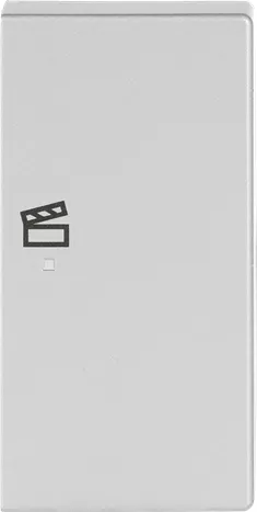Busch-Jaeger rocker 2-way with symbol "scene", aluminum-silver (6233-22-83)