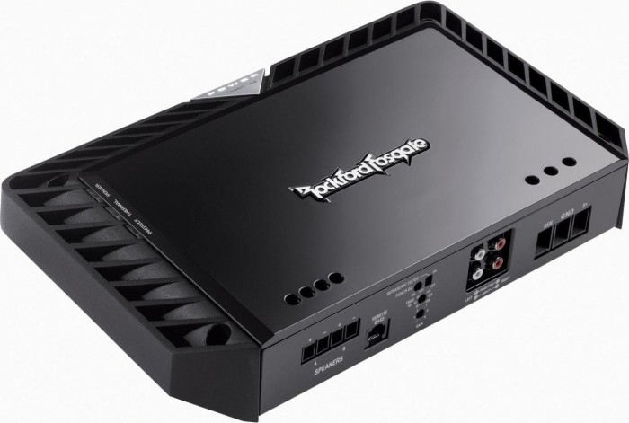 Rockford Fosgate T1000-1BD