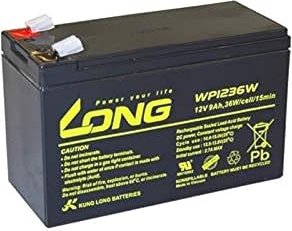 Kung Long lead acid battery WP1236W 9.0Ah