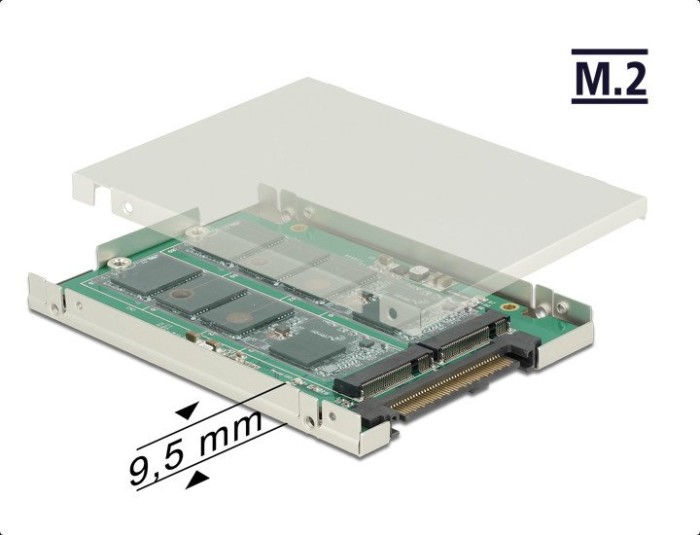 DeLOCK SATA Express -> M.2 SATA (62785)