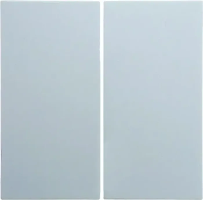 Berker S.1/B.3/B.7 S.1 rocker 2 x, polar white matte (16231909)