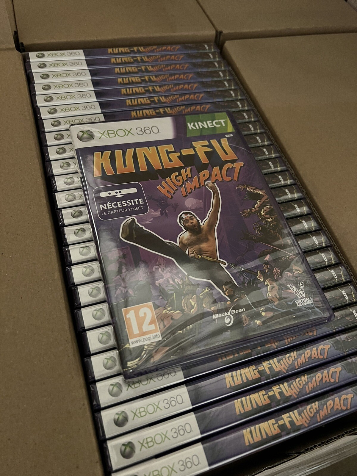 Kung Fu High Impact (Kinect) (Xbox 360)