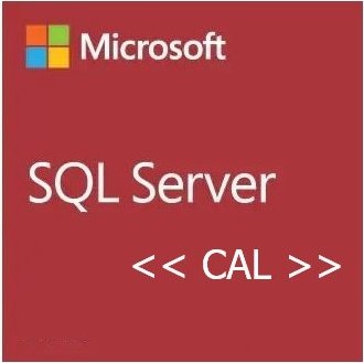 Microsoft SQL Server 2022 Standard Edition, 1 User CAL (German) (PC) (359-07038)