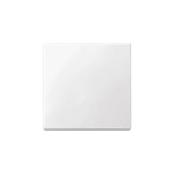 Merten 433119 System M Cover Toggle Switch Polar White Thermoplastic