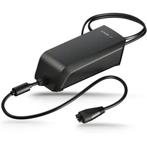 Bosch almost Charger charger