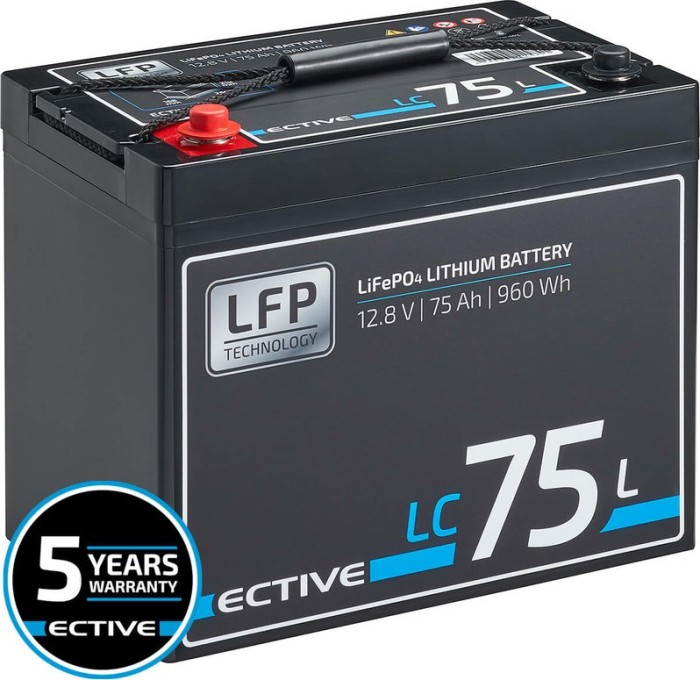 Ective LC 75L (TN3484)