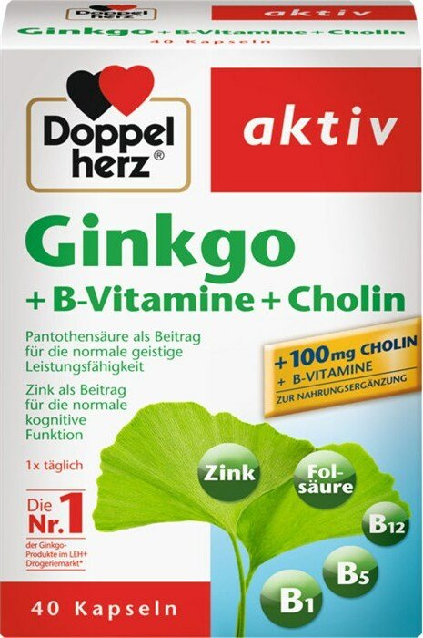 Doppelherz aktiv Ginkgo + B-Vitamine + Cholin Kapseln, 40 Stück