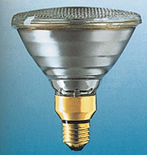 Osram Concentra PAR38FL 120W E27 (4737638)