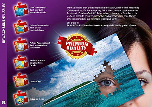Schmidt Spiele Wundervolles Universum (58988)