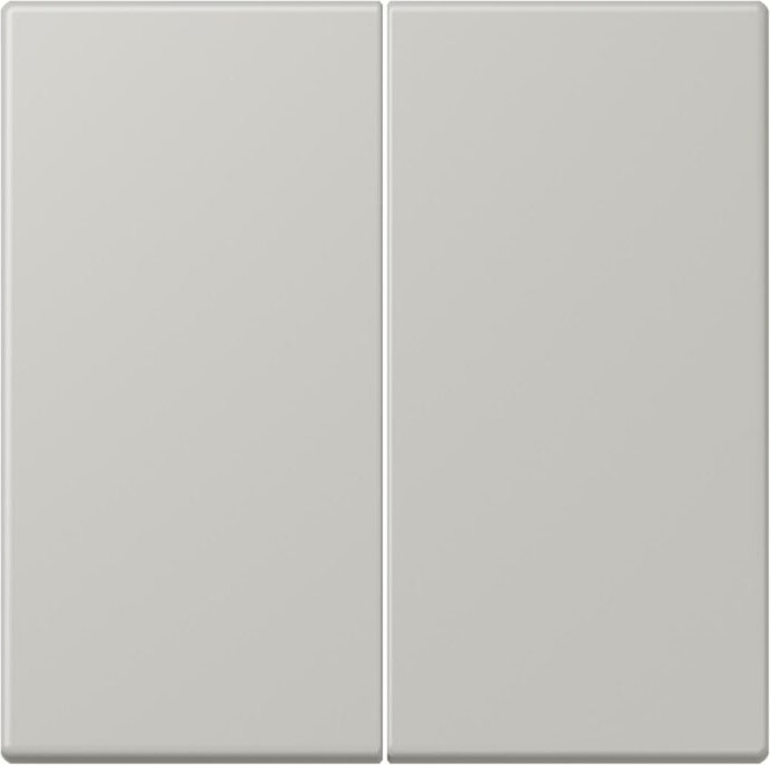 Jung rocker 2-way, gris clair 31 (LC 995205)