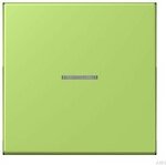 Jung HOME button 1-way, vert clair (BT LC 17101221)