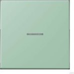 Jung HOME button 1-way, vert anglais clair (BT LC 17101217)