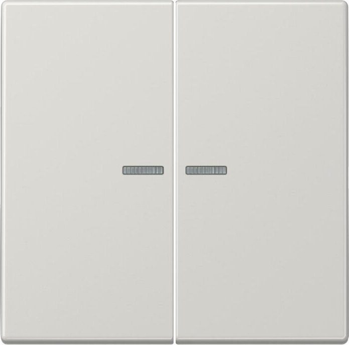 Jung HOME button 2-way, light grey (BT LS 17102 LG)