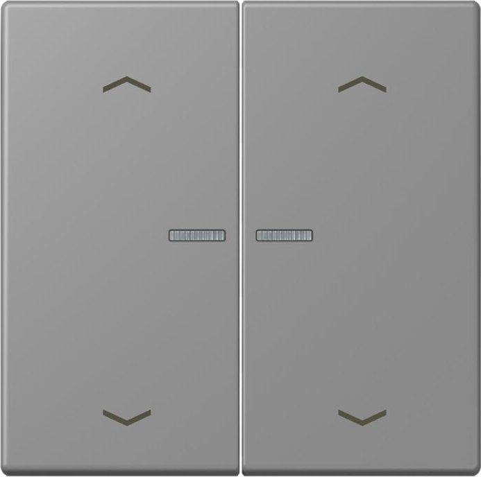 Jung HOME button, gris 31 (BT LC 17102 P203)