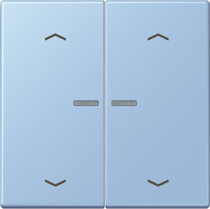 Jung HOME button, outremer moyen (BT LC 17102 P207)