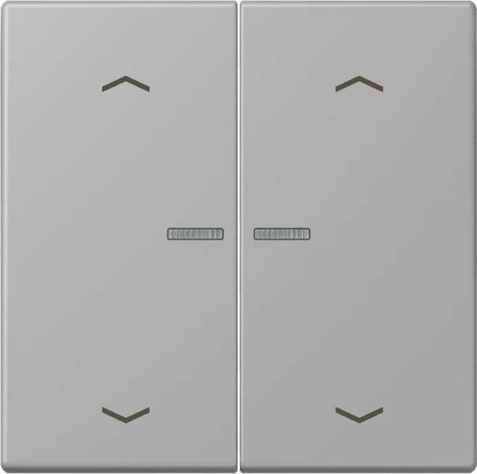 Jung HOME button, gris moyen (BT LC 17102 P204)