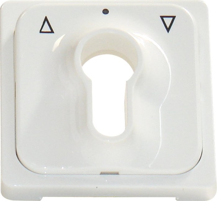 Schrack ELSO central plate for key switch, pearl white (EL203030)