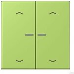 Jung HOME button, vert clair (BT LC 17102 P221)