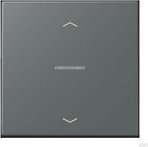 Jung HOME button 1-way, gris foncé 31 (BT LC 17101 P202)