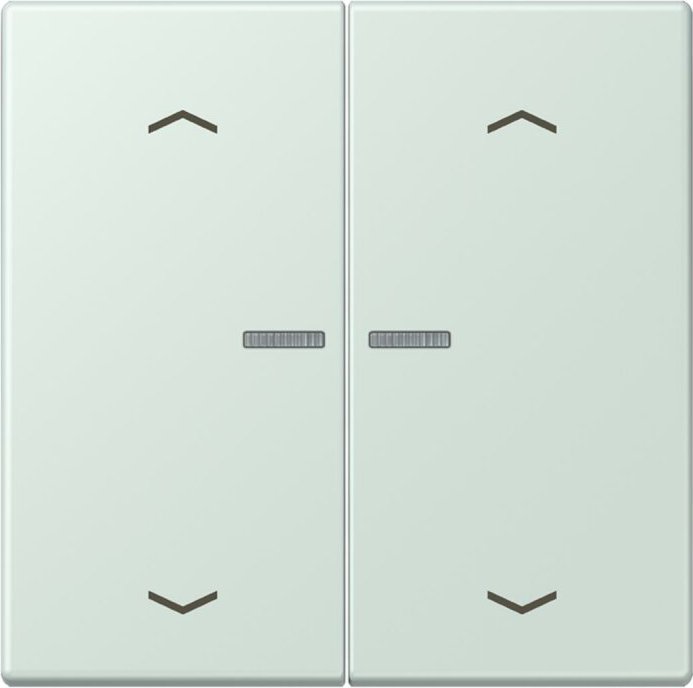 Jung HOME button, céruléen pâle (BT LC 17102 P215)
