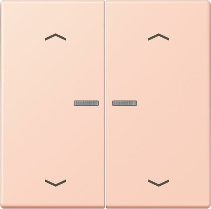 Jung HOME button, l'ocre rouge clair (BT LC 17102 P234)