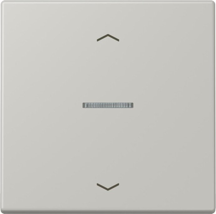Jung HOME button 1-way, gris clair 31 (BT LC 17101 P205)