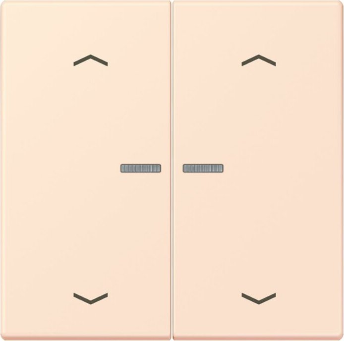 Jung HOME button, orange pâle (BT LC 17102 P226)