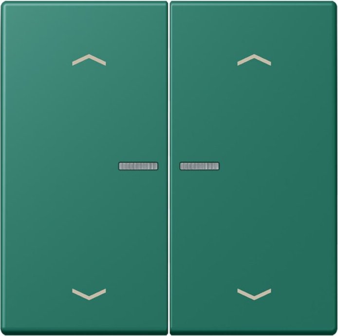 Jung HOME button, vert anglais (BT LC 17102 P216)