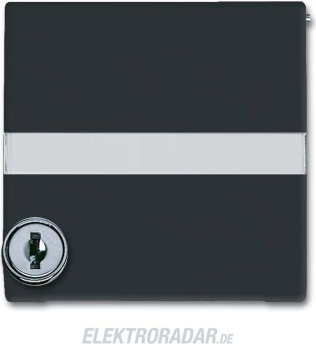 Busch-Jaeger all-weather 44 central plate with overprint, aluminum-silver (2155 SLPZ-33)