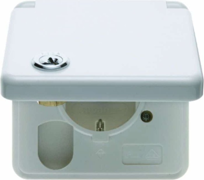 Berker socket SCHUKO with hinged cover, polar white (421209)