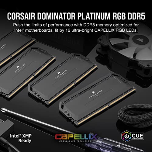 Corsair Dominator Platinum RGB schwarz DIMM Kit 32GB, DDR5-5600, CL36-36-36-76, on-die ECC (CMT32GX5M2B5600C36)