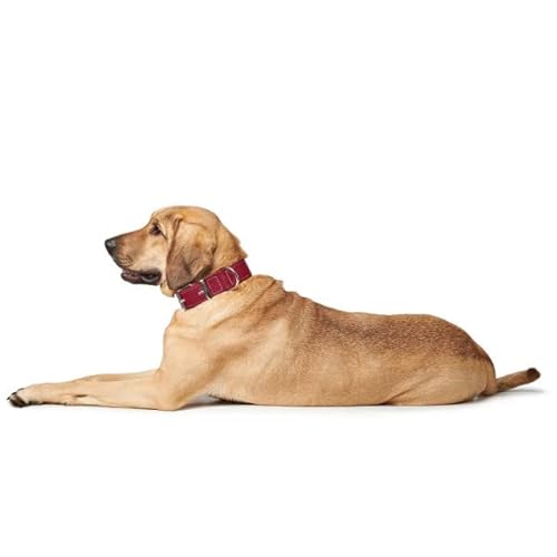 Hunter Aalborg Special dog collar, leather, strapazierfähhig, comfortable, 70 L-XL, red (68371)