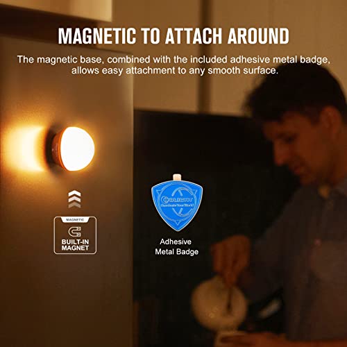 OLight Obulb Pro lantern grey