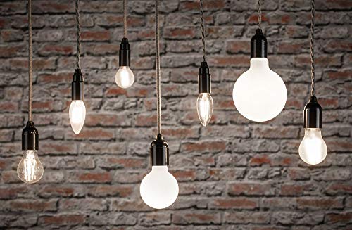 Paulmann filament LED Globe 125 E27 5.6W/827 (286.26)